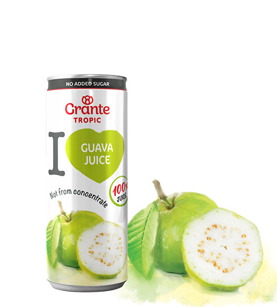 White Guava Grante Tropic