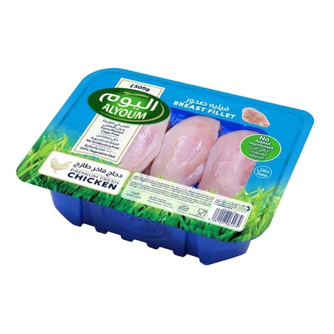Alyoum Chicken Breast Fillet 500g